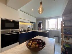 Holland Avenue (Queenstown), HDB Executive #358353511